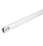 Philips T8 UV - C 75W - ultraviolet | 120cm